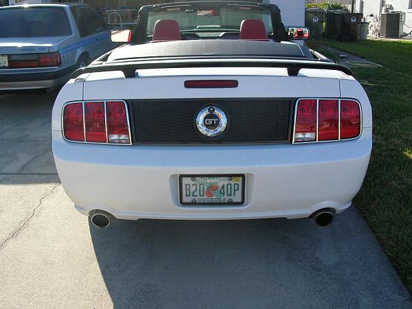 Ponies on The Run!-dscn5069.jpg