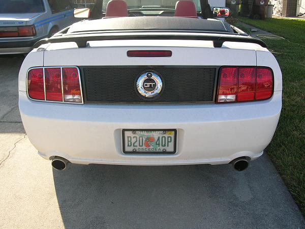 Ponies on The Run!-dscn5073.jpg