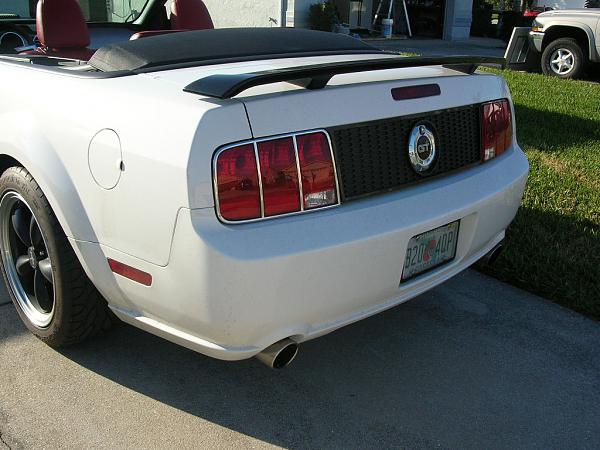 Ponies on The Run!-dscn5074.jpg