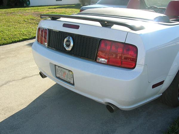 Ponies on The Run!-dscn5075.jpg