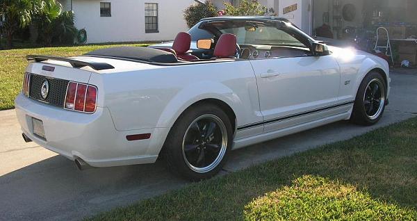 Ponies on The Run!-1.jpg