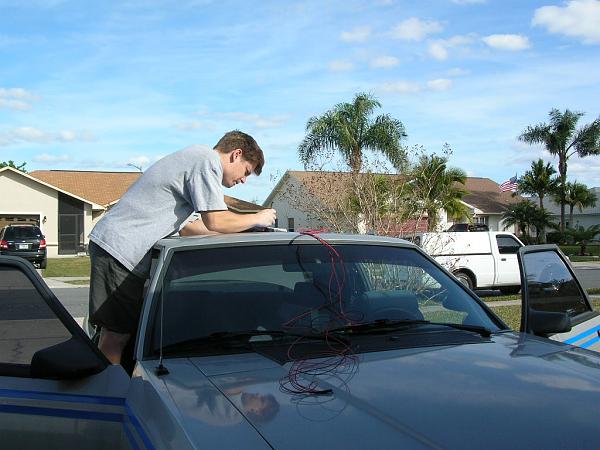 Ponies on The Run!-dscn5080.jpg