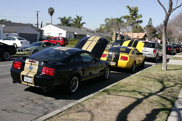 Ponies on The Run!-x1.jpg