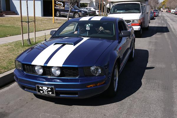 Ponies on The Run!-x2.jpg