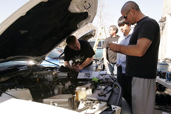 Ponies on The Run!-x3.jpg