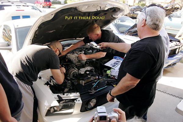 Ponies on The Run!-x4.jpg