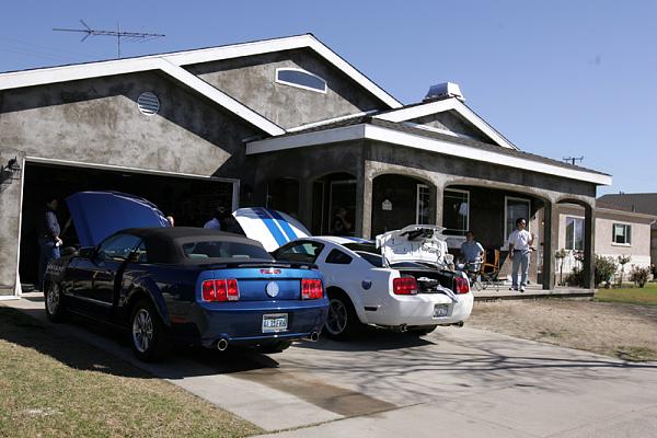 Ponies on The Run!-x5.jpg