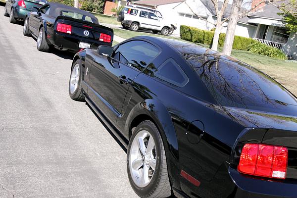 Ponies on The Run!-x6.jpg