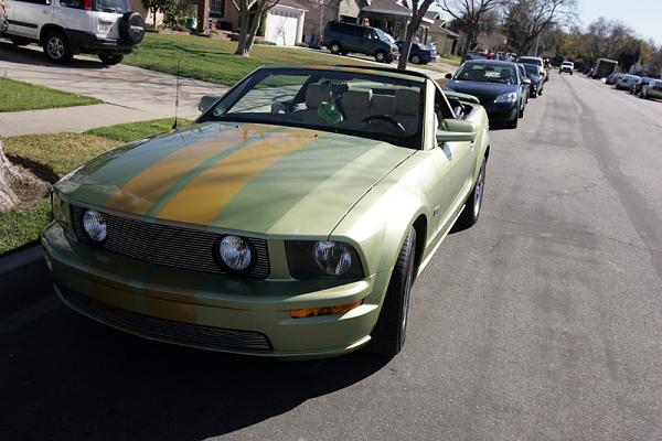 Ponies on The Run!-x8.jpg