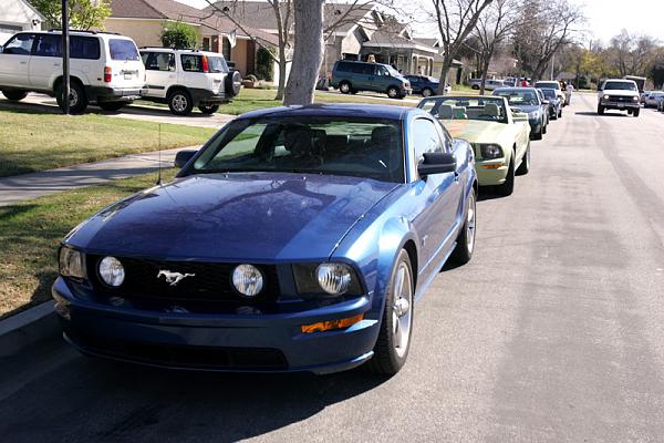 Ponies on The Run!-x9.jpg