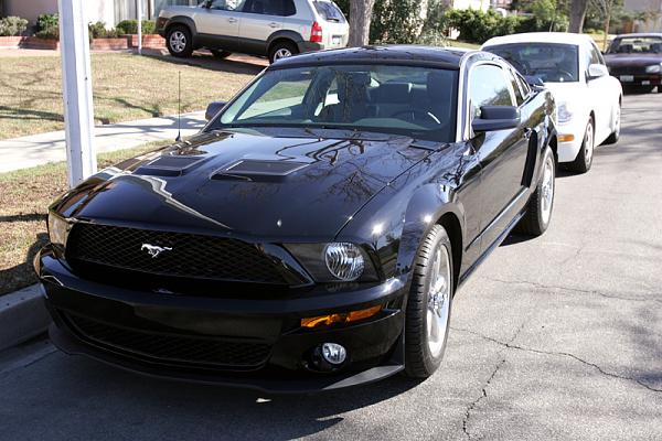 Ponies on The Run!-x10.jpg