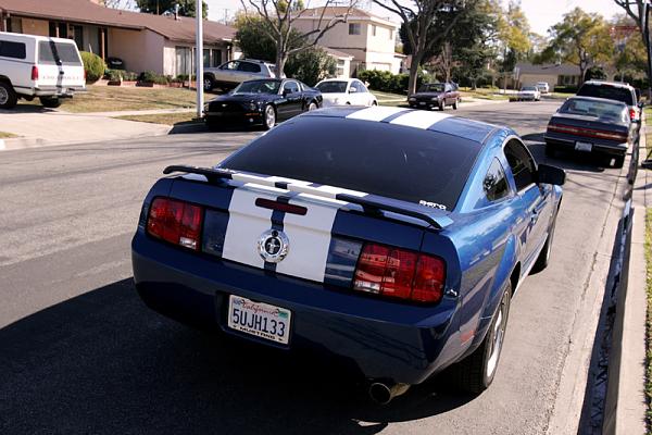 Ponies on The Run!-x11.jpg