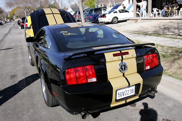 Ponies on The Run!-x12.jpg