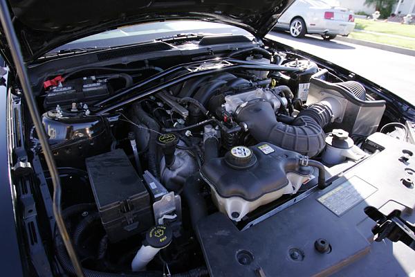 Ponies on The Run!-x14.jpg