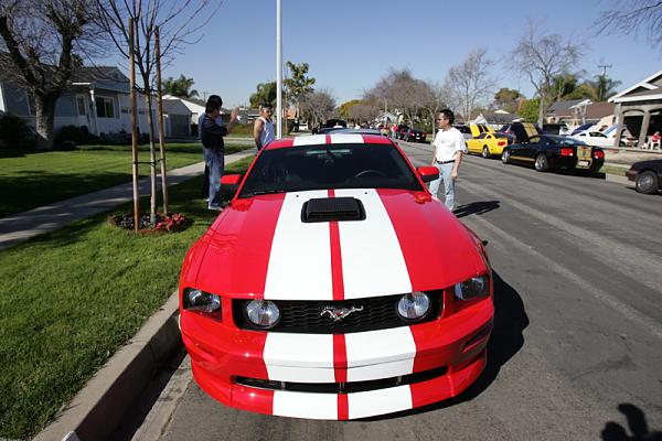 Ponies on The Run!-x16.jpg