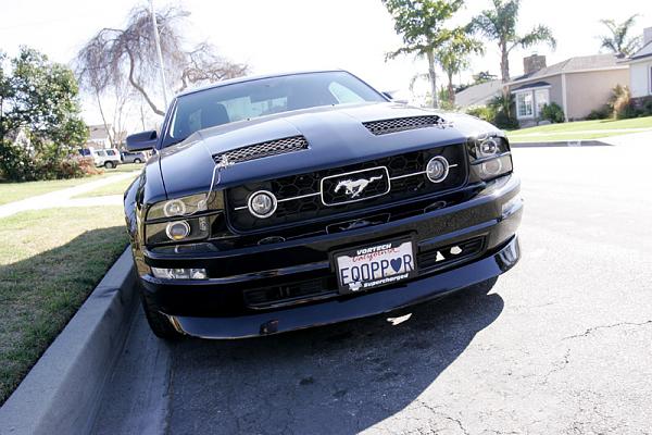 Ponies on The Run!-x20.jpg