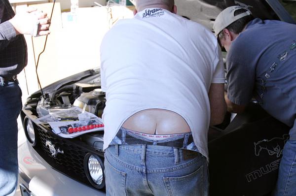 Ponies on The Run!-x24.jpg