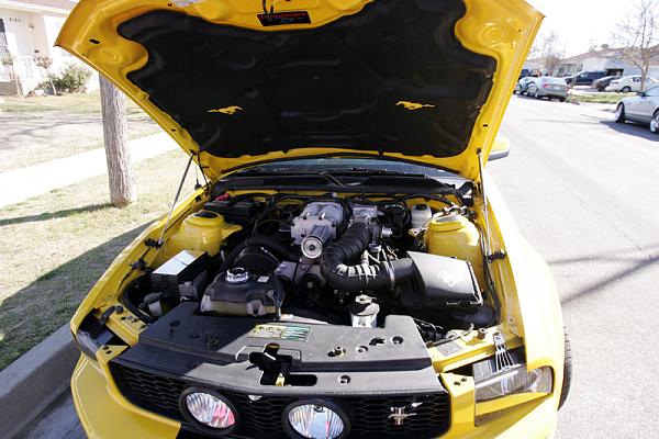 Ponies on The Run!-x27.jpg