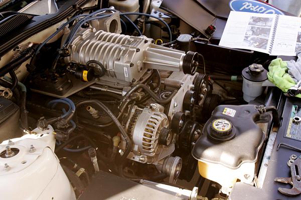 Ponies on The Run!-x28.jpg