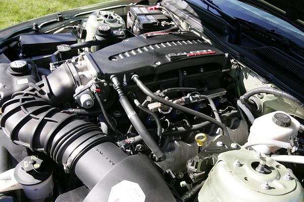 Ponies on The Run!-x29.jpg