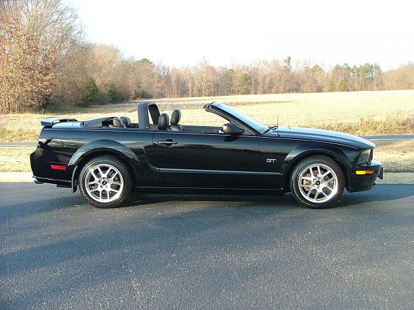 Ponies on The Run!-2005-mustang-015.jpg