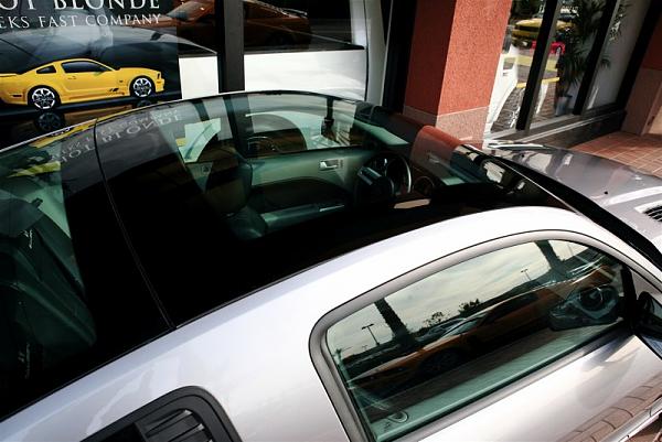 Ponies on The Run!-img_0309.jpg