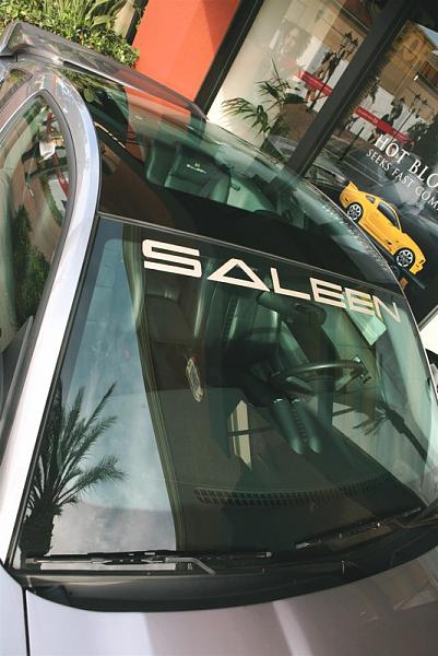 Ponies on The Run!-img_0311.jpg