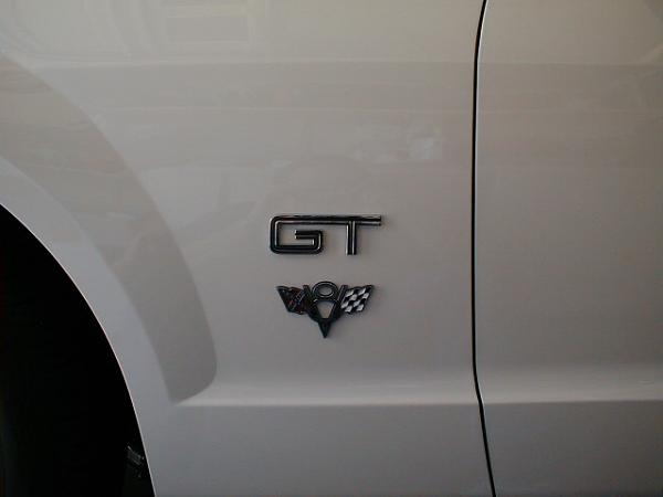 Ponies on The Run!-medallion.jpg