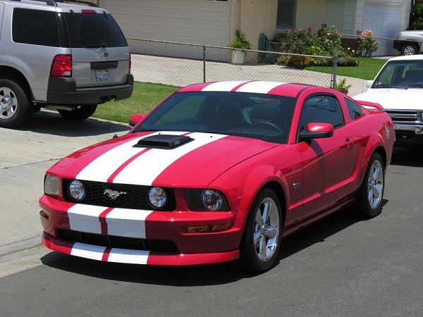 Ponies on The Run!-dscn5200.jpg