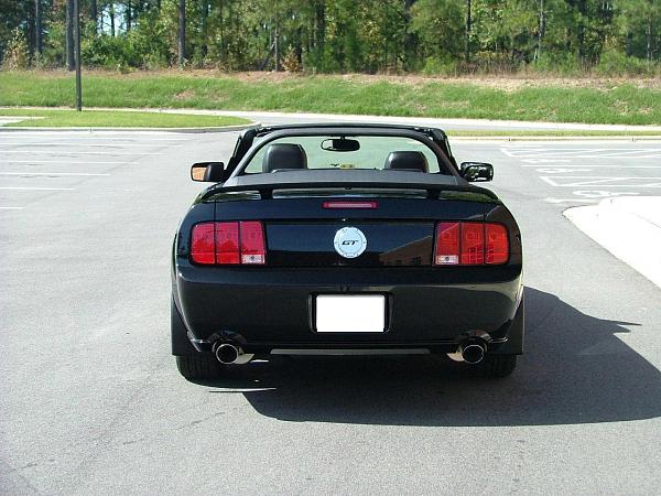 Ponies on The Run!-2005-mustang-014a.jpg