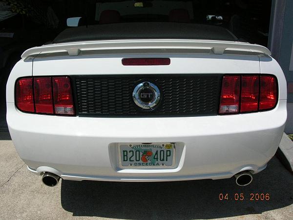 Ponies on The Run!-dscn2933b.jpg