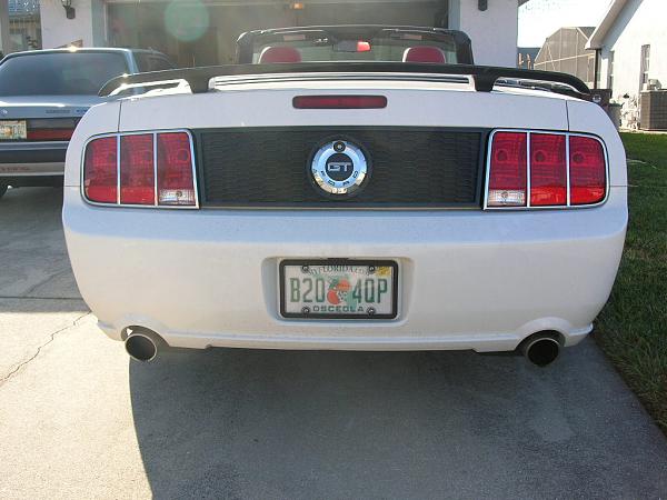 Ponies on The Run!-dscn5070.jpg