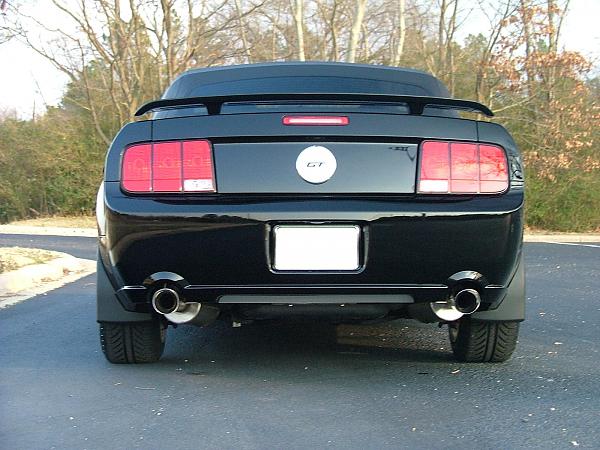 Ponies on The Run!-2005-mustang-017.jpg