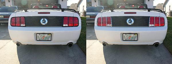 Ponies on The Run!-tomcomparison.jpg