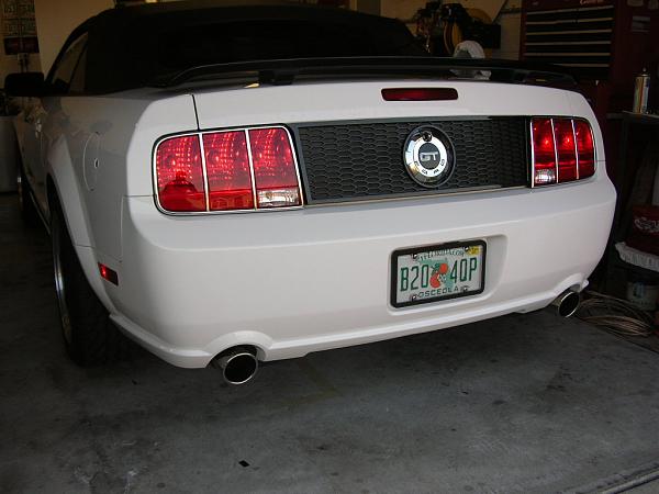 Ponies on The Run!-dscn5132.jpg