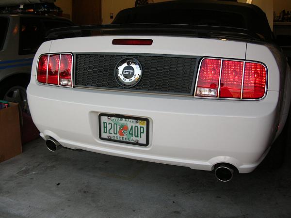 Ponies on The Run!-dscn5133.jpg