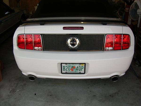 Ponies on The Run!-dscn5134.jpg