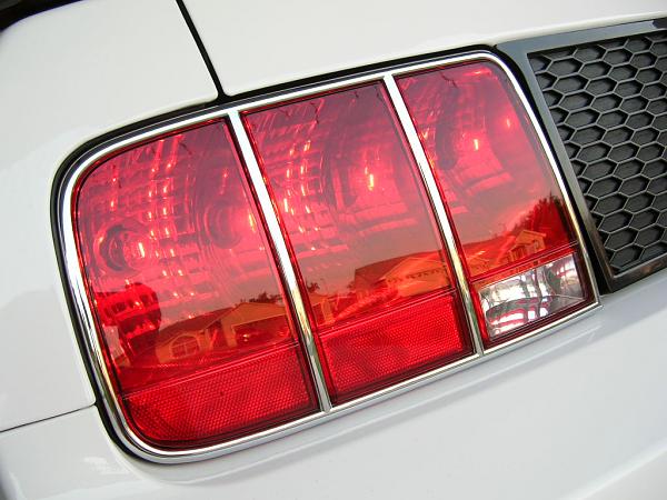 Ponies on The Run!-dscn5139.jpg