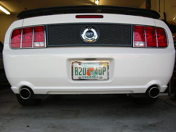 Ponies on The Run!-dscn5149.jpg