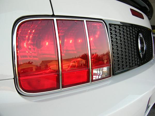 Ponies on The Run!-dscn5140.jpg