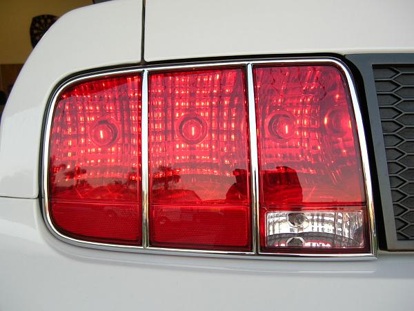 Ponies on The Run!-dscn5142.jpg