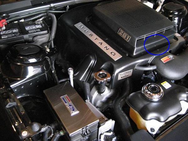 Ponies on The Run!-pbf_emblem.jpg