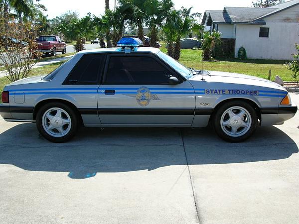 Ponies on The Run!-dscn0073.jpg