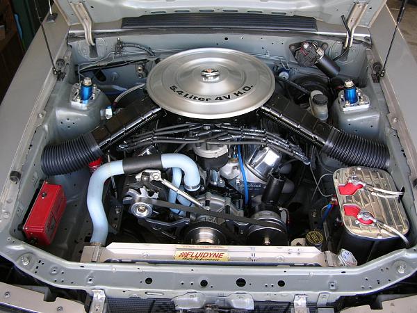 Ponies on The Run!-dscn3746.jpg