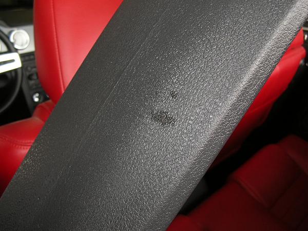 Ponies on The Run!-dscn5175.jpg