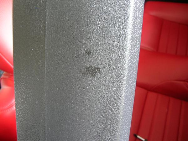 Ponies on The Run!-dscn5178.jpg