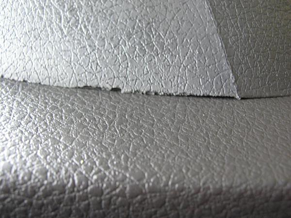 Ponies on The Run!-dscn5199.jpg