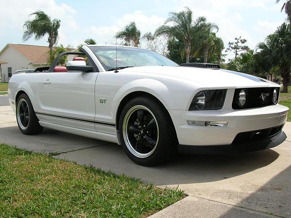 Ponies on The Run!-dscn5200.jpg