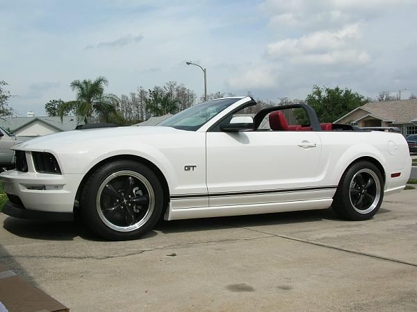 Ponies on The Run!-dscn5204.jpg