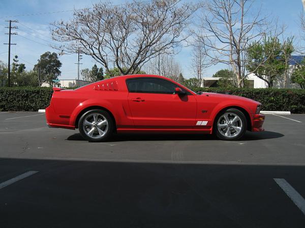 Ponies on The Run!-img_2640m.jpg